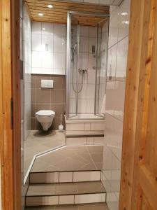 Gästezimmer Reitinger في Siegenburg: حمام مع دش ومرحاض