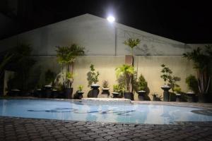 安吉利斯的住宿－DM別墅酒店，一座种植了许多盆栽植物的游泳池