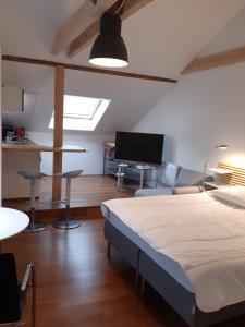 a bedroom with a bed and a couch and a tv at loft studio avec charme et authenticité in Altkirch