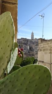 Fotografie z fotogalerie ubytování StageROOM01 - Matera v destinaci Matera