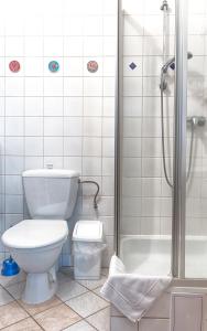 ein Bad mit einem WC und einer Dusche in der Unterkunft Penzion Gaudeamus in Milovy