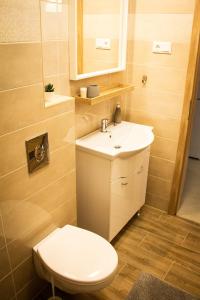 a bathroom with a toilet and a sink and a mirror at Loli Apartman in Miskolc