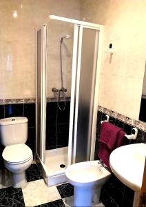 een badkamer met een douche, een toilet en een wastafel bij Casa Rural Las Chorreras in Navalguijo