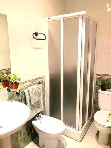 a bathroom with a shower and a toilet and a sink at Casa Rural Las Chorreras in Navalguijo