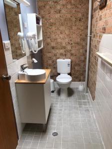 a bathroom with a white toilet and a sink at Whale Fisher Motel in Eden