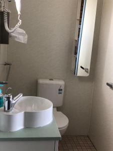 a bathroom with a sink, toilet and mirror at Whale Fisher Motel in Eden