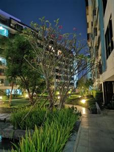Fotografie z fotogalerie ubytování 7 Floor - Centrio Condominium near Shopping Mall and Phuket Old Town ve městě Phuket