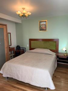 a bedroom with a large bed and a chandelier at Departamentos Pánuco in Mexico City