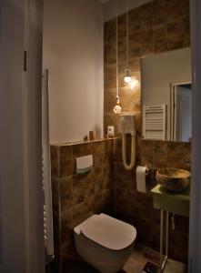 a bathroom with a toilet and a sink and a mirror at Vila Vidalis in Cluj-Napoca