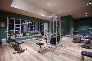 Fitness centrum a/nebo fitness zařízení v ubytování Bacolux Afrodita Resort & SPA, Herculane
