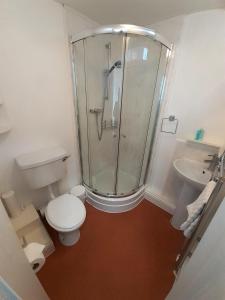 a bathroom with a shower and a toilet and a sink at The Edenhurst Guesthouse in Weymouth