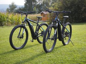 two bikes parked on the grass in a field at Birkholmhof in Bärnau
