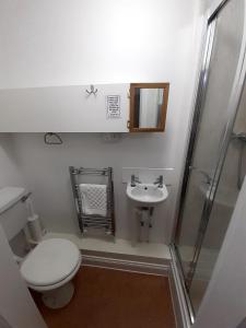 a small bathroom with a toilet and a sink at The Edenhurst Guesthouse in Weymouth