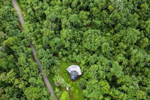 A bird's-eye view of Cape Tribulation Holiday House