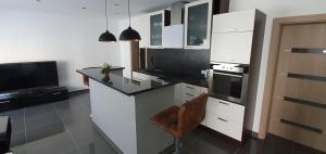 ครัวหรือมุมครัวของ Ferienwohnung Apartment am Donau Radweg