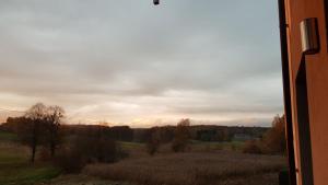 Blick auf ein Feld aus einem Zugfenster in der Unterkunft Apartament Fibra Essenza in Rybnik