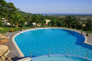 una grande piscina blu con palme sullo sfondo di Apartamentos Torrevella a L'Estartit