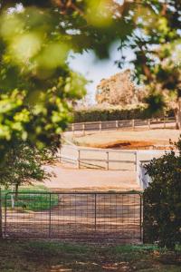 een hek voor een paardenrenbaan bij Dalblair Bed & Breakfast in Seville