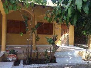 N'Danthiéné Lodge外面的花园