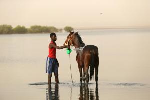 a man standing in the water with a horse at N'Danthiéné Lodge in Ndangane