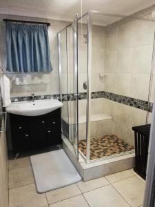 a bathroom with a shower and a sink at El Gran Chaparral Guest House in Pretoria