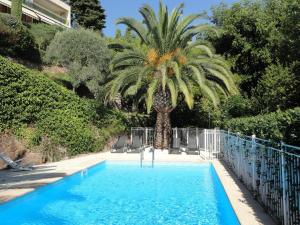 eine Palme neben einem Pool in der Unterkunft B&B Villa Feline in Cannes