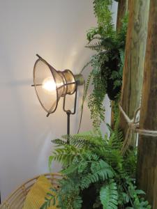 a table with a lamp and some plants at Casa da Rita in Évora