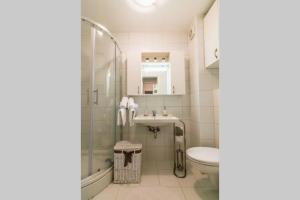 W łazience znajduje się prysznic, umywalka i toaleta. w obiekcie Apartment Jarun Brac w Zagrzebiu +17 zdjęć