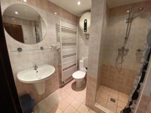 een badkamer met een wastafel, een toilet en een douche bij Penzion Pod Zámkem in Pruhonice