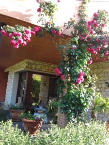 un ramo de flores rosas al lado de una casa en La Dolce Vita, en Montecchia di Crosara