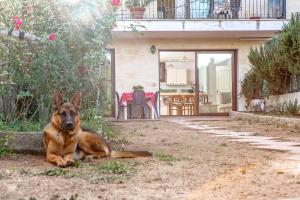 Domáce zviera alebo zvieratá hostí v ubytovaní Relax tra terra e mare