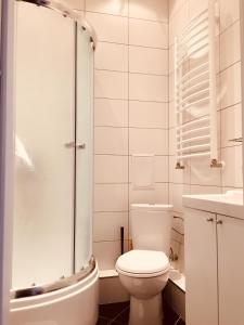 スヴェトロゴルスクにあるSunny forestの白いバスルーム(トイレ、シャワー付)
