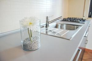 a vase with a white flower in it on a kitchen counter at B&B Angelina in Triggiano