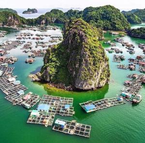 an aerial view of a harbor with boats in the water at Minh Đức hotel in Cat Ba