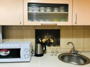 Η κουζίνα ή μικρή κουζίνα στο Apartment Rovno