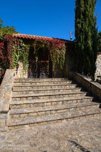 un conjunto de escaleras con hiedra en un edificio en Villa Luxury Paradise Kastoria, en Lithiá