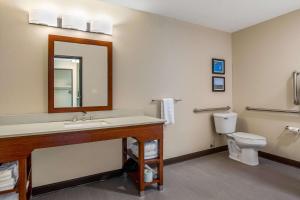 a bathroom with a sink and a toilet at Comfort Inn and Suites Ames near ISU Campus in Ames