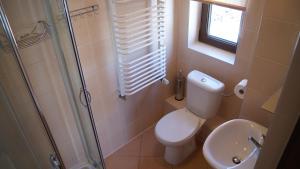 a small bathroom with a toilet and a sink at Pokoje Gościnne Dorota Andreasik in Wetlina