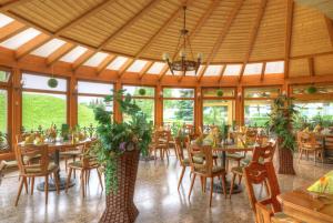 a dining room with tables and chairs and plants at Räuberschänke in Oederan
