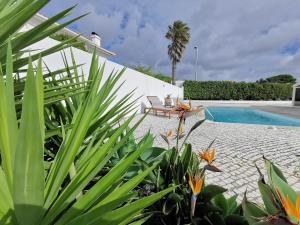 Gallery image of Vogue 23 Boutique Hotel in Cascais in Cascais
