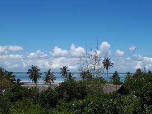 Gallery image of Jua Peponi in Michamvi +107 photos