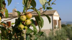 Fotografie z fotogalerie ubytování Residence Colle Veroni v destinaci Mosciano SantʼAngelo