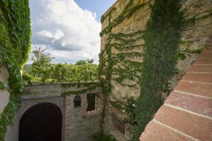 eine mit Efeu bedeckte Steinmauer mit einer Tür in der Unterkunft Castello di Fighine in San Casciano dei Bagni