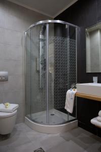 a bathroom with a shower and a toilet and a sink at Grand TheoNi Boutique Hotel & Spa in Vasiliki