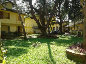 果亞舊城的住宿－奧德國阿旅館，一座有树和黄色建筑的院子