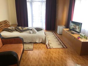 a bedroom with a bed and a television on a table at Vila Cristalfrost in Poiana Brasov