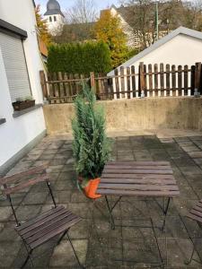 a patio with two wooden benches and a christmas tree at Ferienwohnung Stadtflair in Daun
