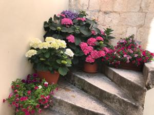 drie potplanten op een trap met bloemen bij Romantic Luxury Rooms in Split