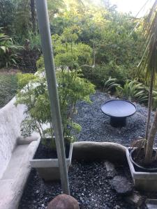 Zahrada ubytování Earthship Daintree