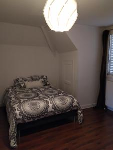 a bedroom with a bed with a pillow and a light at Bel appartement en plein coeur de ville in Le Creusot